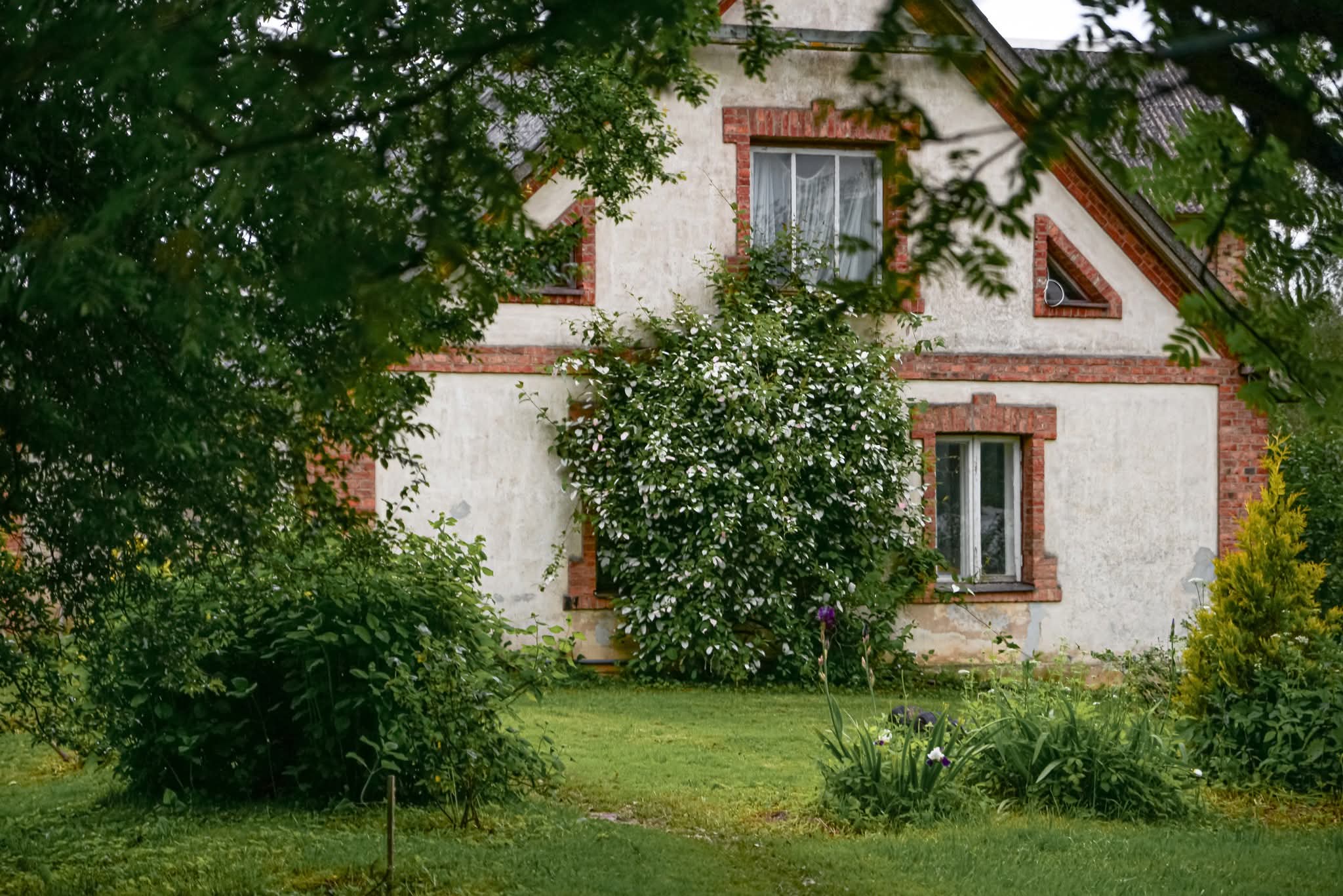 Albums: Jāņi Mindaugās 2025.